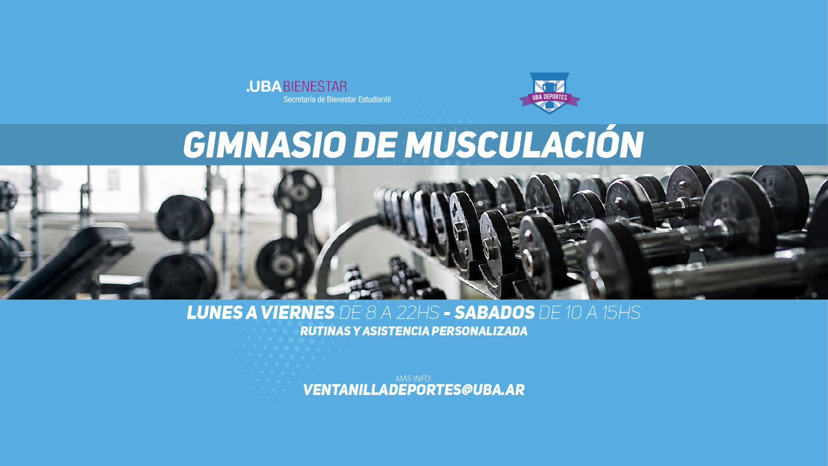 Gimnasio de musculación